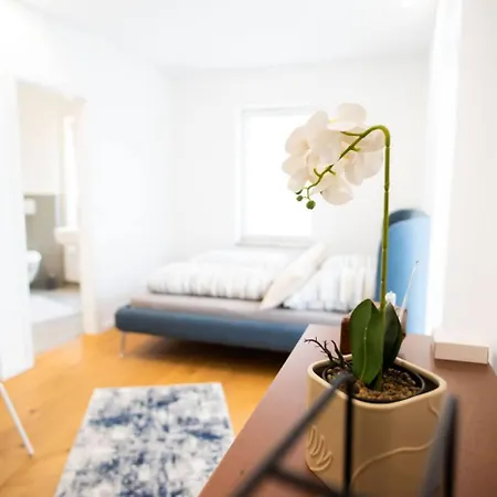 公寓 Zentral Apartment *